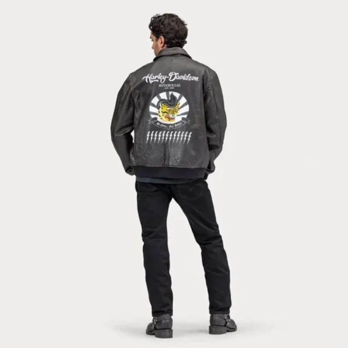 Harley-Davidson Men, Archer Bomber Leather Jacket back2