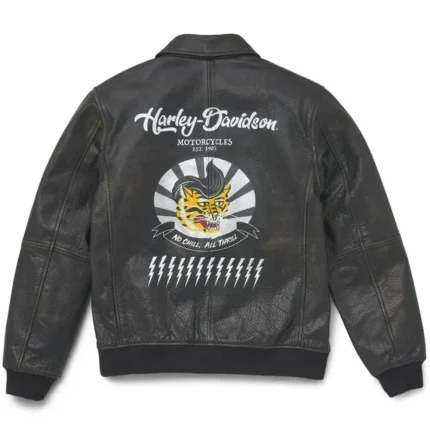 Harley-Davidson Men, Archer Bomber Leather Jacket back