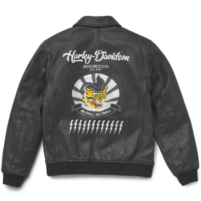 Harley-Davidson Men, Archer Bomber Leather Jacket back